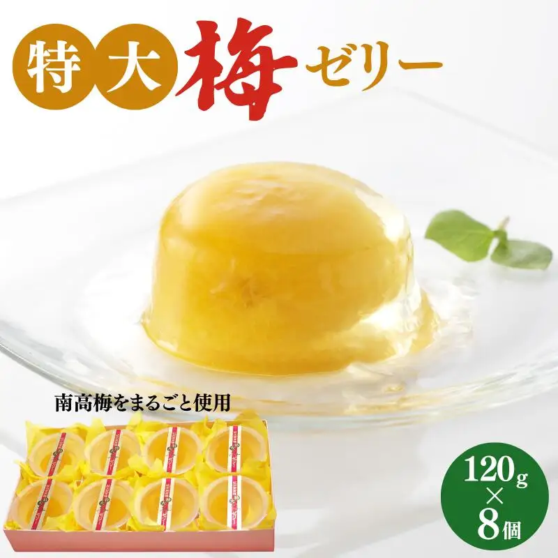 特大梅ゼリー 120g×8個  / 田辺市 紀州南高梅 南高梅 梅干し 梅干 梅 うめ ゼリー  特大 スイーツ おやつ ひんやり 【kbe045-1】