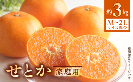 【2027年先行受付】せとか 家庭用 3kg М～2Lサイズ 混合_BF6047n