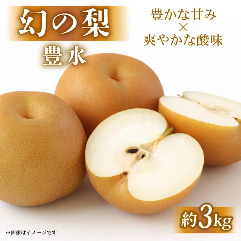 梨 旬 約3kg 彦根梨 豊水 9月発送