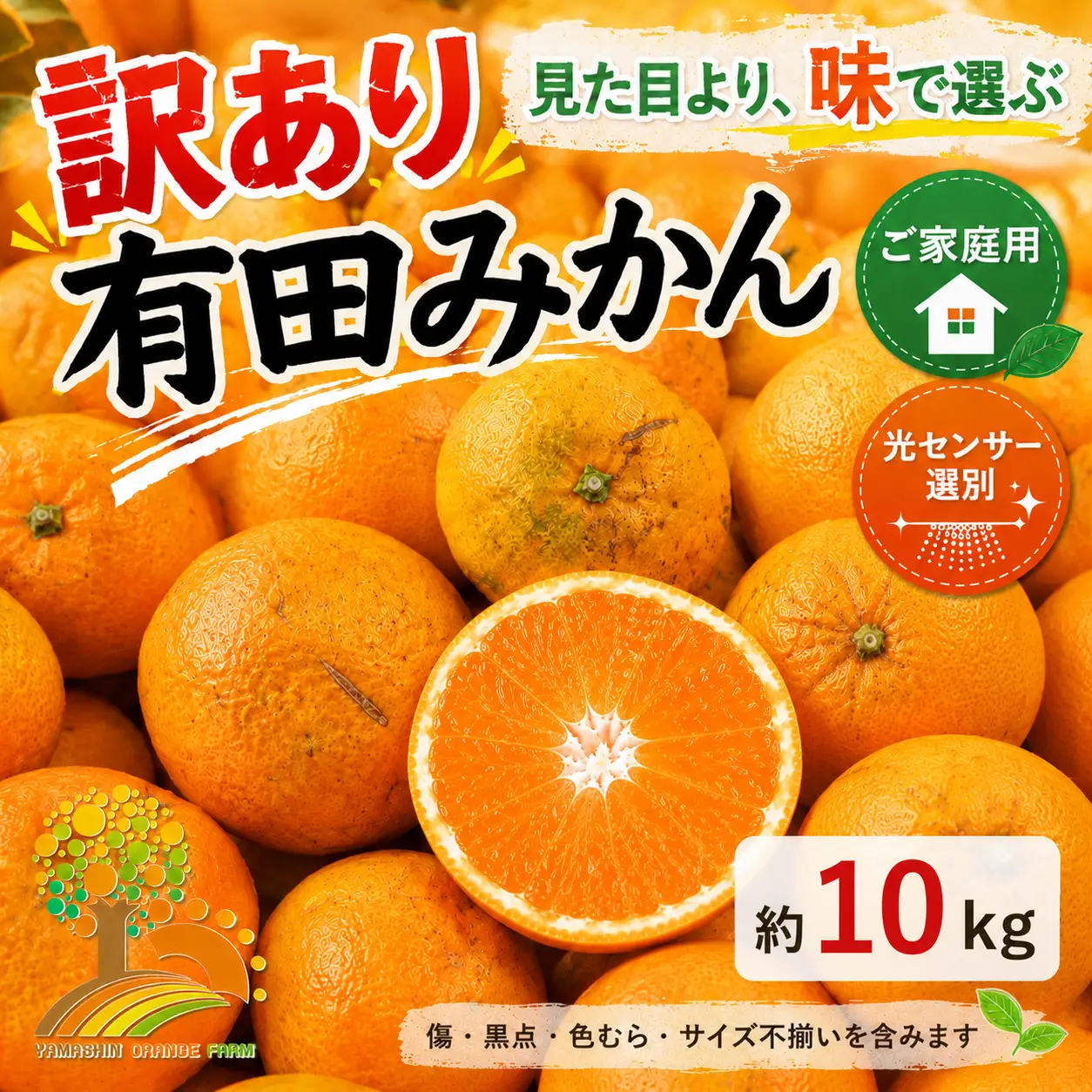 【訳あり】有田みかん 10kg | 農家直送 訳あり ご家庭用 サイズ混合 光センサー選別 温州みかん みかん 訳あり わけあり 家庭用 