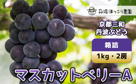京都三和・丹波ぶどう(マスカットベリーA・1kg) 甘い 濃厚 大粒