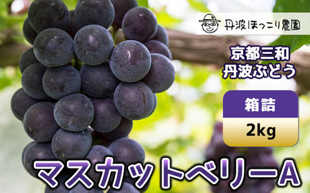 京都三和・丹波ぶどう(マスカットベリーA・2kg) 甘い 濃厚 大粒