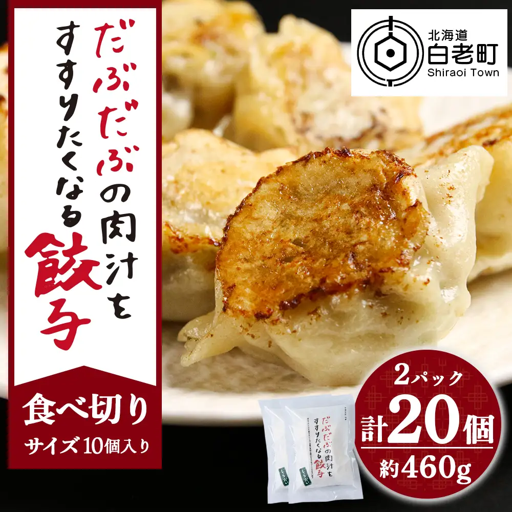 だぶだぶの肉汁をすすりたくなる餃子 20個（10個入×2パック） BE012