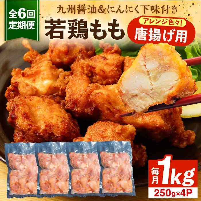 【全6回定期便】お肉屋の唐揚げ 1kg 九州産若鶏モモ肉・ニンニク使用[VAJ014] 鶏肉 からあげ