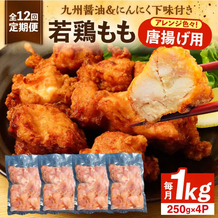 【全12回定期便】お肉屋の唐揚げ 1kg 九州産若鶏モモ肉・ニンニク使用[VAJ015] 鶏肉 からあげ