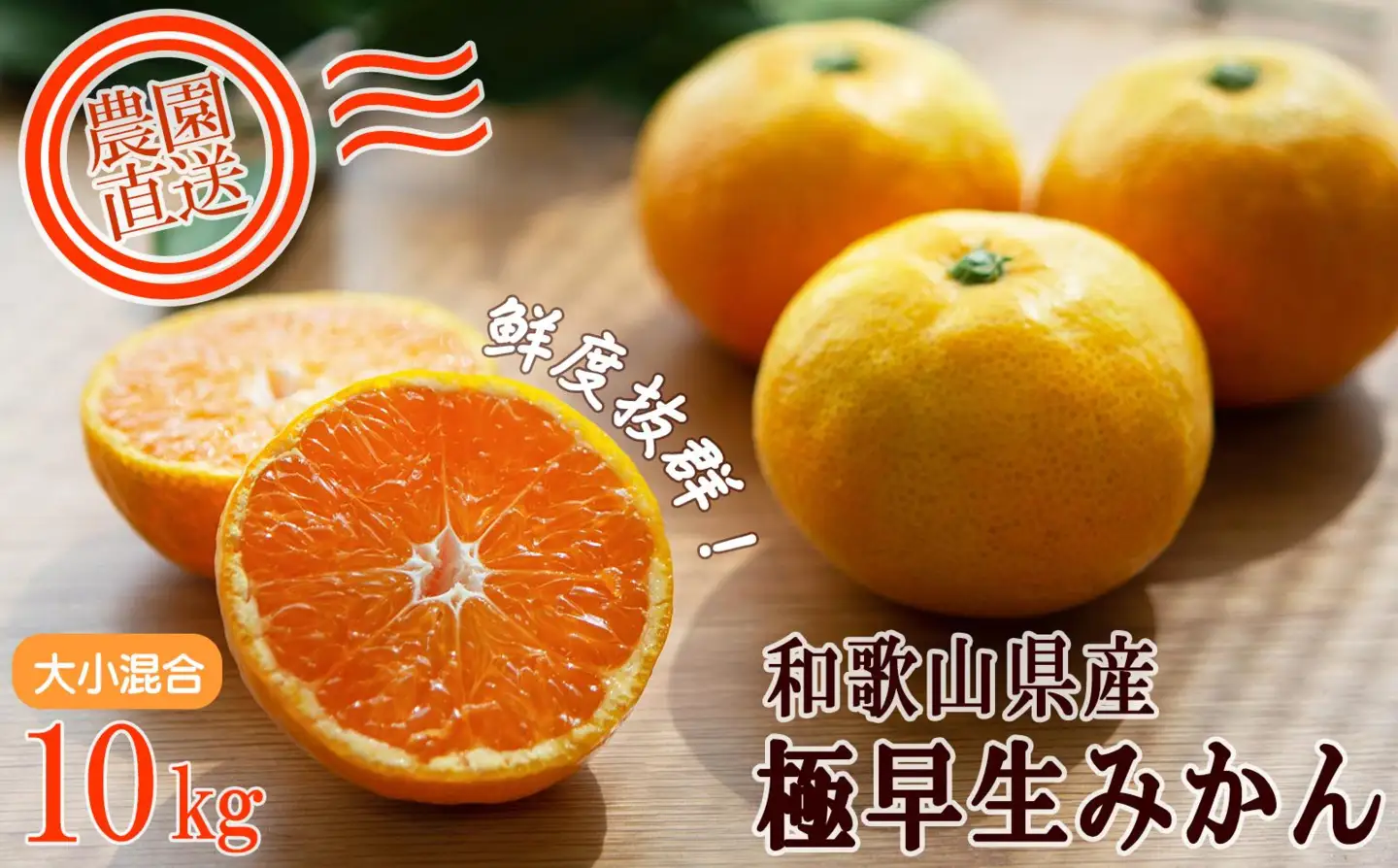 極早生みかん(日南早生みかんなど)【訳あり】10kg 混合サイズ「2026年10月より順次発送」果物 柑橘 混合【Mg13】