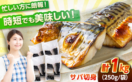 骨付き 塩サバ 切り身 1kg（250g×4 計 約14～20切）