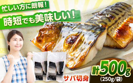 【魚のプロが選ぶ】あえて骨付き 小浜加工 塩サバ 切り身 脂のり抜群 サバ 500g ノルウェー産 鯖 旨味保持 骨取りではない 国内加工 酒の肴 ごはんの友 品質重視 冷凍 おかず 小浜市 / まるほ商店 【配送不可地域：北海道・沖縄・離島】 [BFCS012]