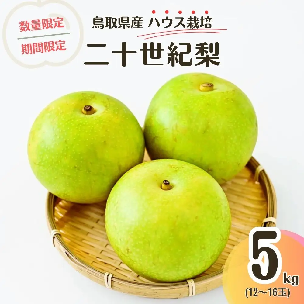 ハウス二十世紀梨 5kg （生橋農園） 梨