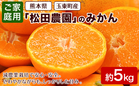 訳あり ご家庭用みかん 約5kg(S-2Lサイズ) 【日付指定不可】《10月中旬-12月下旬頃出荷》 松田農園