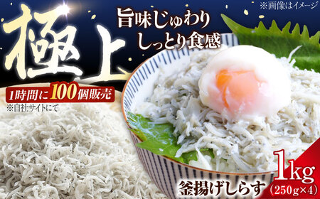 冷凍釜揚げしらす1kg しらす[XCN001]