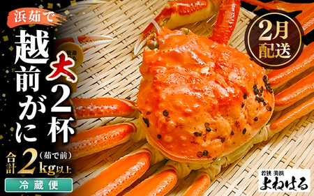 【先行予約】然 越前がに 大サイズ (茹で前約1kg) × 2杯 【2027年2月上旬以降順次発送予定】浜茹で 越前がに [m17-x002_02]