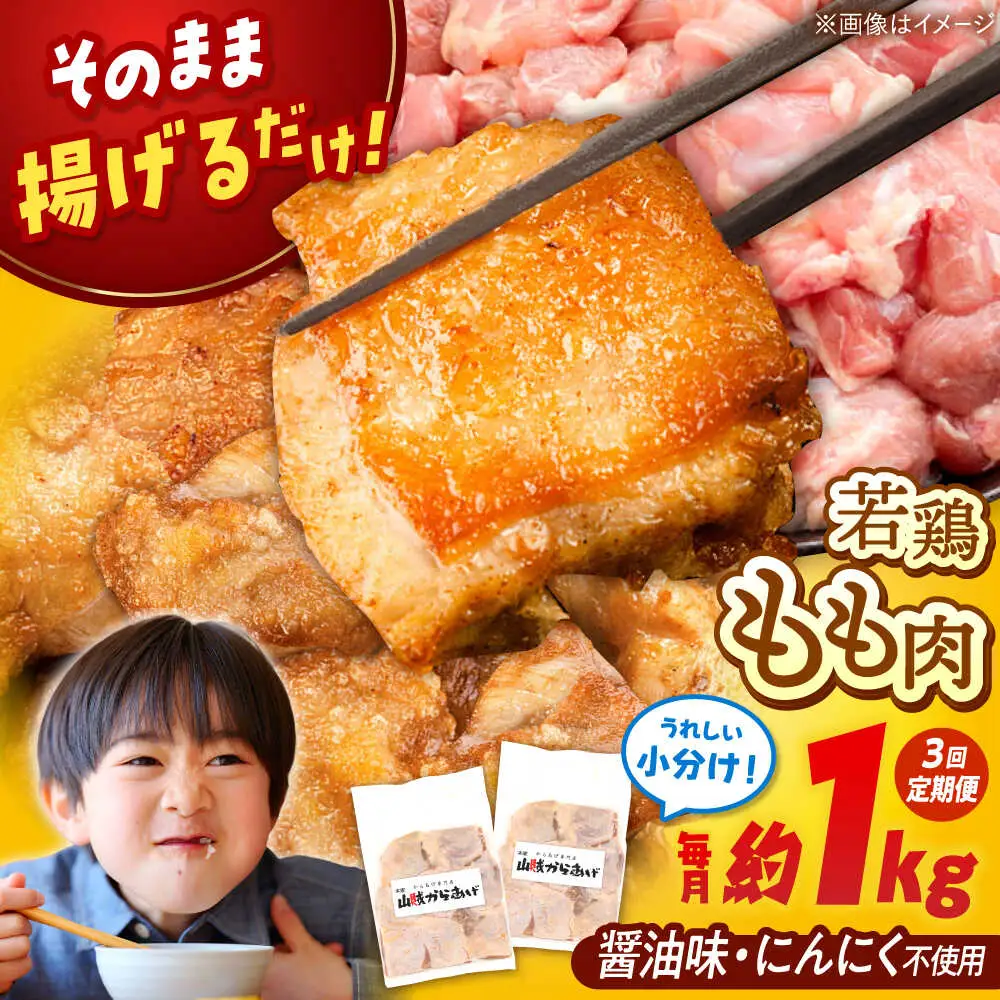【全3回定期便】特大 山賊からあげ（骨なし）8個入×2袋 桂川町/山賊からあげ桂川店 [ADAP010] からあげ 骨なしからあげ 若鶏のからあげ 定期便 