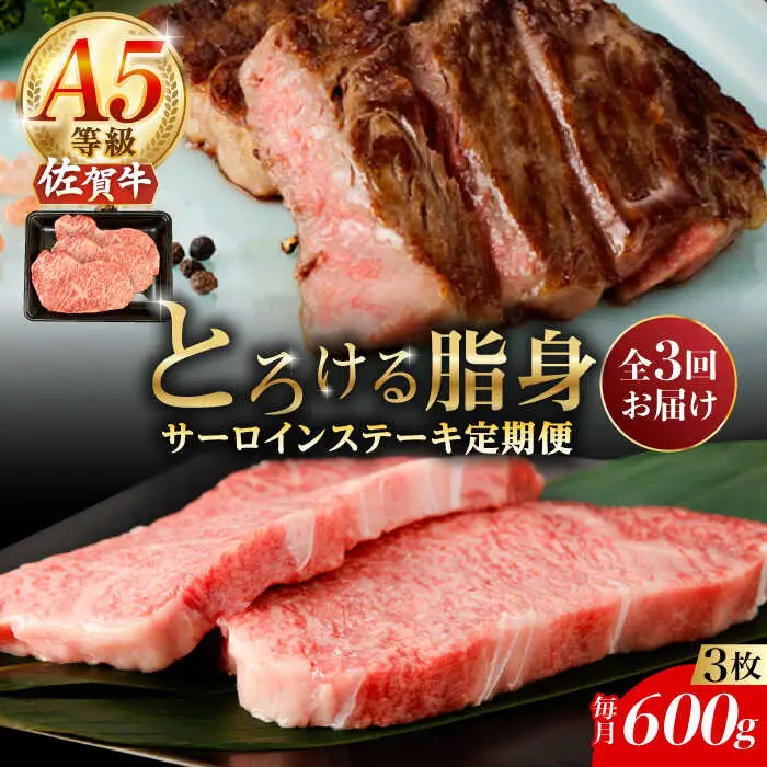 【3回定期便】A5等級 佐賀牛 サーロインステーキ 600g /ナチュラルフーズ [UBH106] ステーキ