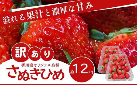 いちご さぬきひめ 訳あり 香川県産 いちご【1.2kg】 【46312611】