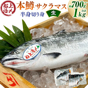 本鱒（サクラマス）船上活〆半身切り身【生】（半身約700g～1000g） 