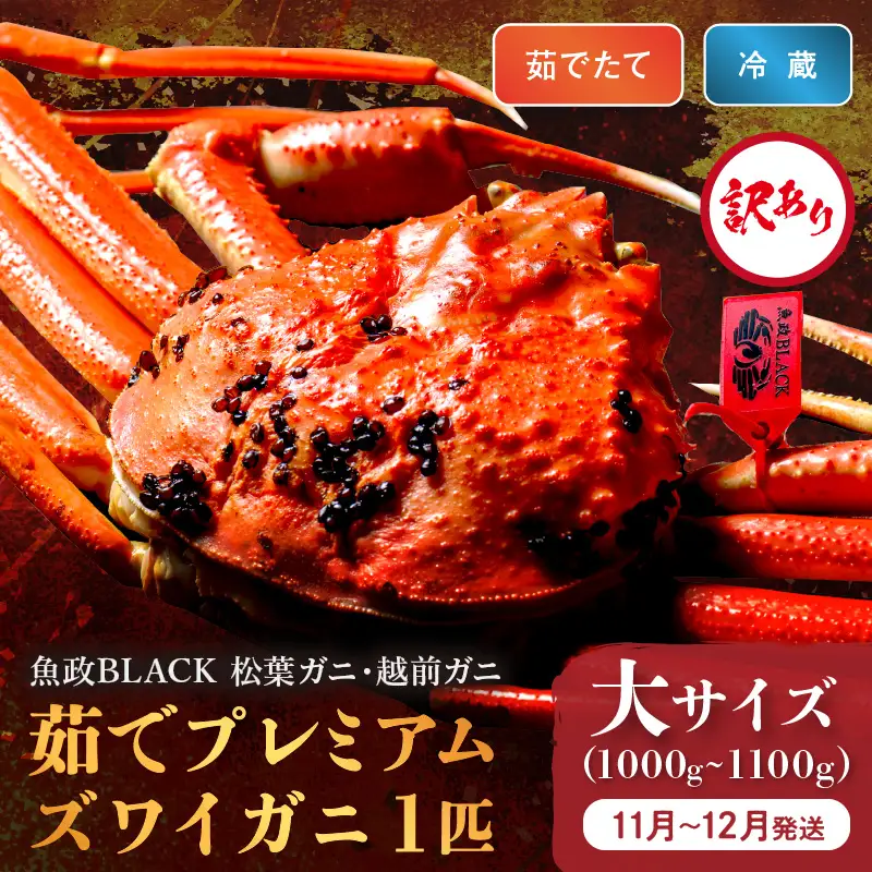 訳あり 【蟹の匠 魚政】茹で プレミアムズワイガニ 魚政BLACK（松葉ガニ・越前ガニ） 大サイズ（1000～1100g） 1匹(11月～12月発送) 蟹