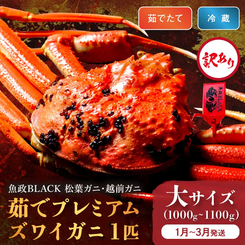 カニ 松葉ガニ／訳あり　【蟹の匠 魚政】茹で　プレミアムズワイガニ 魚政BLACK（松葉ガニ・越前ガニ） 大サイズ（1000～1100g） 1匹 (1月～3月発送）松葉ガニ ｶﾆ 茹でｶﾆ ボイルｶﾆ 茹で松葉ガニ ｶﾆ ｶﾆ  ｶﾆ カニ味噌 蟹 カニ