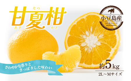 甘夏柑 小豆島産 柑橘 フルーツ 甘夏柑【約5kg】