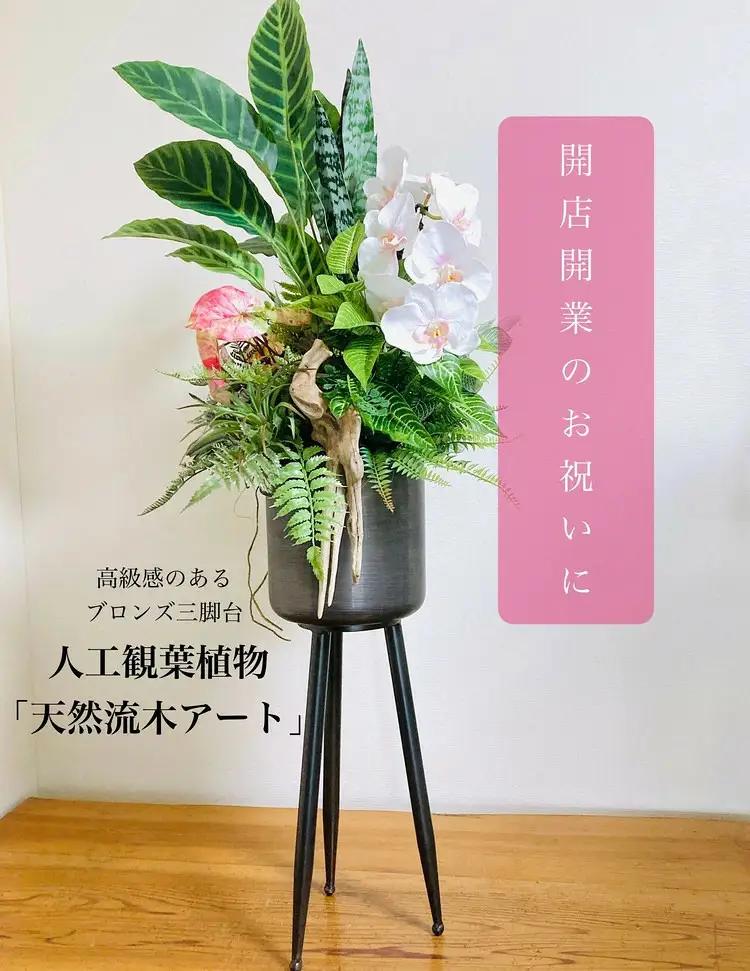 人工観葉植物 天然流木アート『カラティア』｜観葉アレンジ