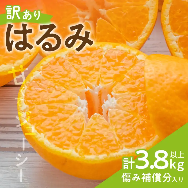 先行予約 訳あり はるみ 計3.8kg以上 傷み補償分入り_BAV24-26