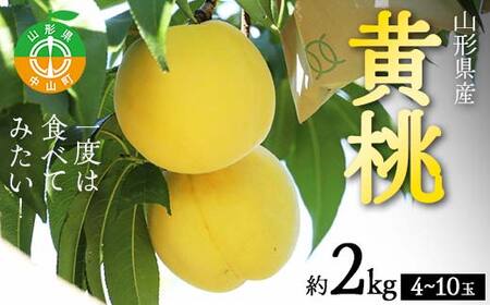 《2026年先行予約》山形県産 一度は食べてみたい！黄桃（有袋・無袋） 約2kg（4～10玉） 桃 もも フルーツ 果物 くだもの 山形県 中山町 F4A-0431