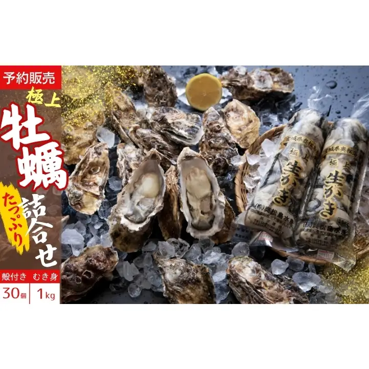 【2026シーズン受付開始！】11月中旬から順次発送予定 奥松島産 極上カキ たっぷり詰合せセット カキむき身500g×3本(計1.5kg)＋殻付きカキ40個 牡蠣 かき カキ 殻付き 剥き身