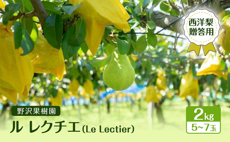 【2026年11月下旬配送】 ル レクチエ 【贈答用】 2kg 5～7玉 野沢果樹園 西洋梨 Le Lectier 新潟 