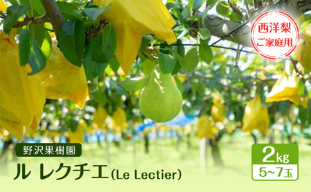 【2026年11月下旬配送】 ル レクチエ 【ご家庭用】 2kg 5～7玉 野沢果樹園 西洋梨 （Le Lectier）新潟 