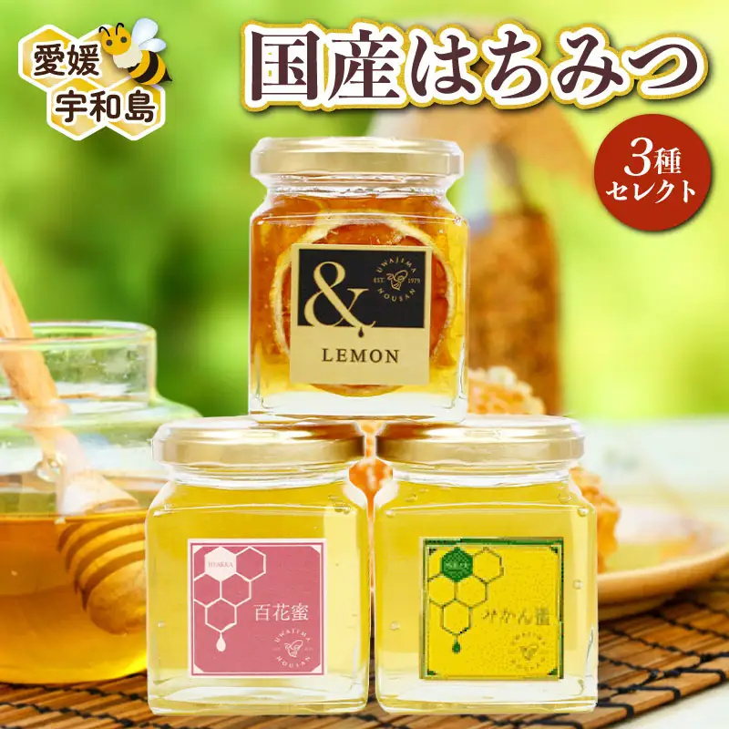 国産蜂蜜 3種類セット(非加熱)国産蜂蜜 宇和島農産 F012-132003
