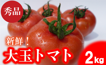 【2027年4月～発送】 トマト 2kg 大玉 秀品 Sサイズ トマト IM