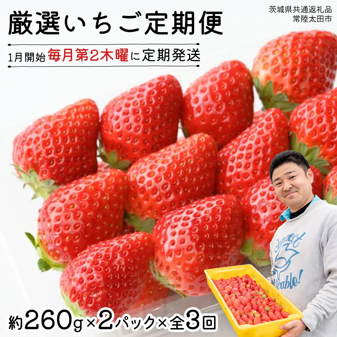 【 先行予約 】 【 定期コース 】 厳選 いちご 2パック 【 毎月 第2木曜に全3回発送 初回発送 2027年1月14日 】 (常陸太田市 共通返礼品 ) 
