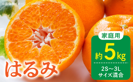 【2027年先行予約】家庭用 訳あり はるみ 和歌山 有田 2S～3Lサイズ混合 約5kg_DZ6228