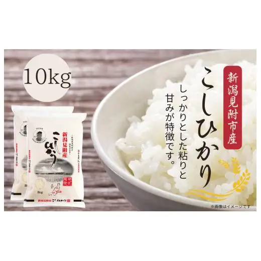 米〈4～7営業日で発送〉令和7年産 新潟見附市産コシヒカリ10kg（5kg×2）　田中米穀