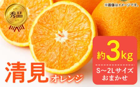 【2027年先行予約】秀品 きよみ 清見オレンジ 和歌山 有田 S～2Lサイズ 大きさお任せ 約3kg_DZ6103