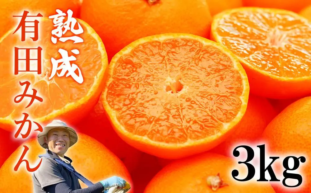 ［先行予約］熟成　有田みかん 3kg（約30個）2026年11月下旬ごろより順次発送予定