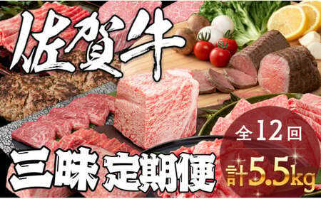 佐賀牛三昧定期便 毎月届く 全12回 計5.5kg 肉 定期便 佐賀牛 こだわり おすすめ ギフト 贈答 黒毛和牛 ランキング za026