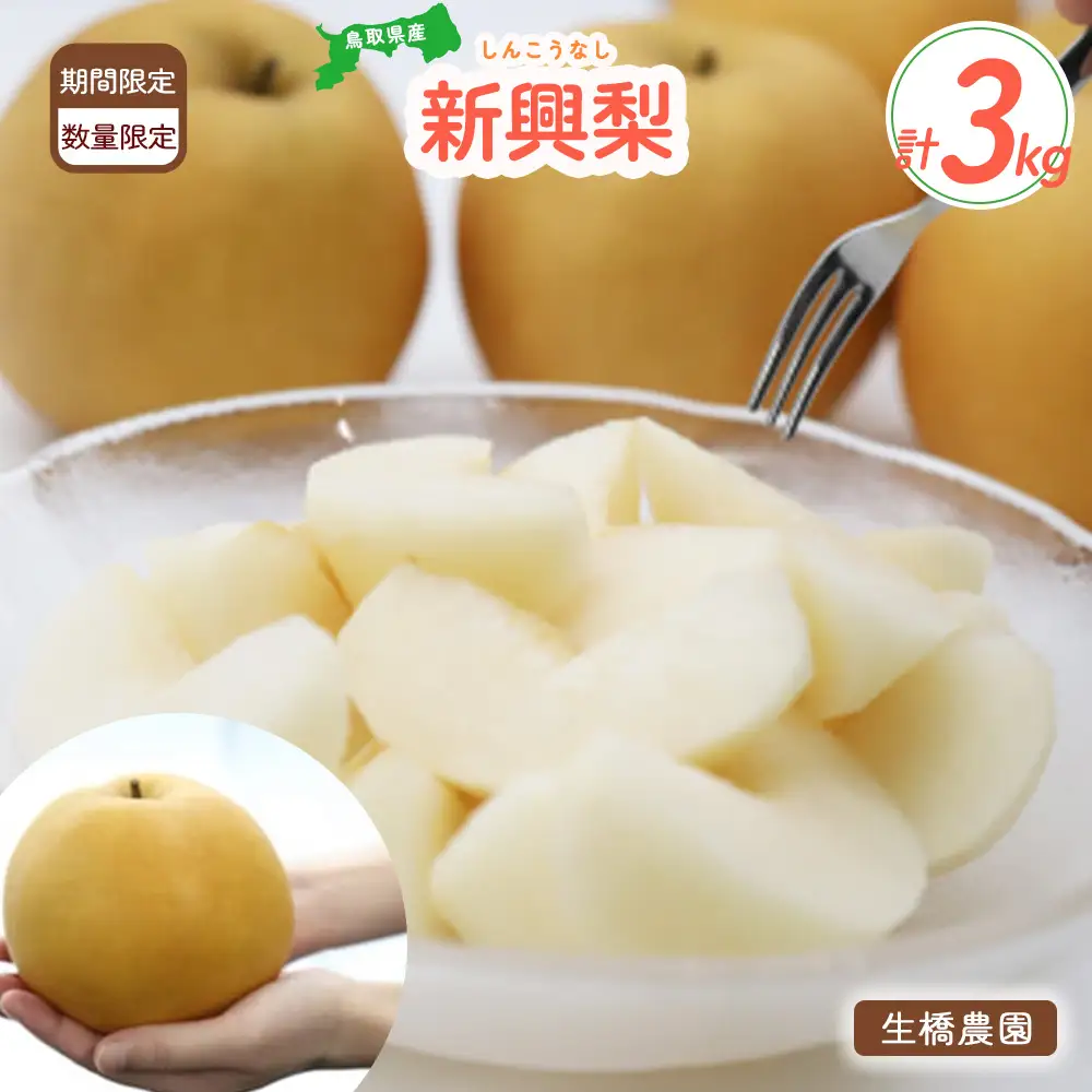新興梨 3kg（生橋農園） 梨