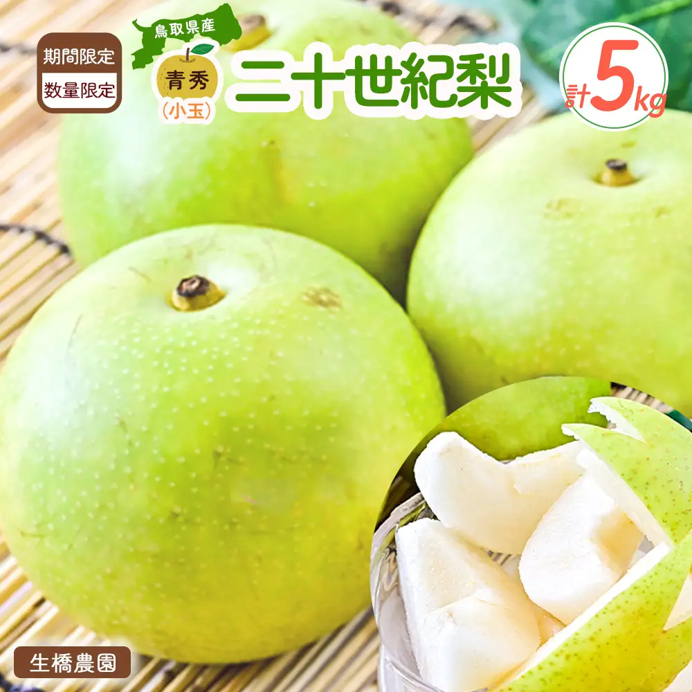 二十世紀梨（小玉）5kg（生橋農園） 青秀 梨