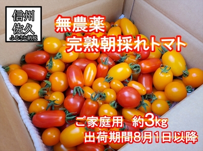 【無農薬】 朝採れ！完熟トマト 約3kg【家庭用】〈2026年8月1日～2026年10月31日出荷／北海道・九州・沖縄・離島は配送不可〉　トマト 高原野菜　産地直送　新鮮　旬彩　期間限定 【 長野県 佐久市 】