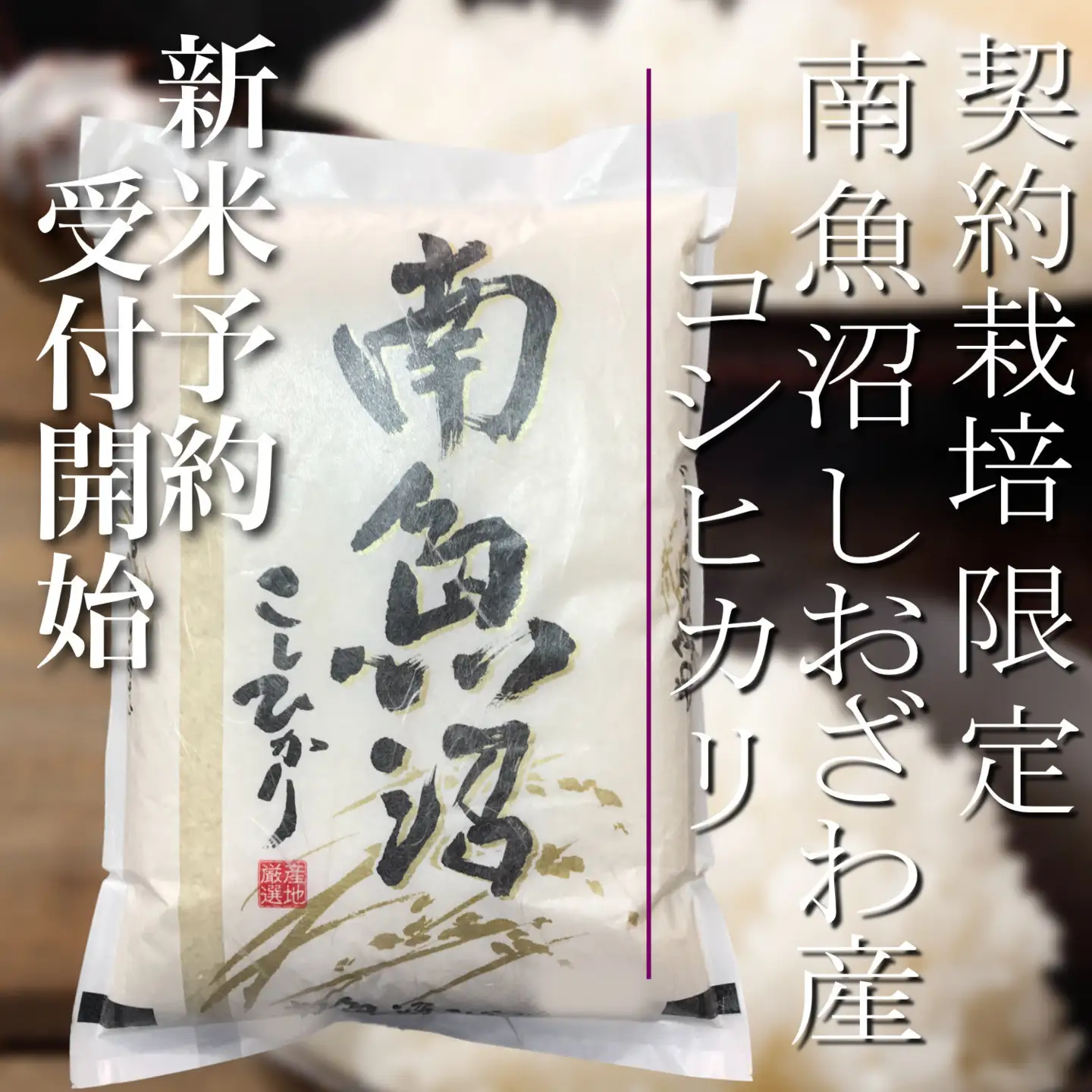 【令和8年産　新米予約】定期便12ヶ月：精米2Kg 契約栽培限定 南魚沼しおざわ産コシヒカリ【定期便 銘柄米 ブランド米 精米 こしひかり コシヒカリ 魚沼産 新潟米 ごはん】【2026年10月上旬から1ヶ月以内に順次発送予定】
