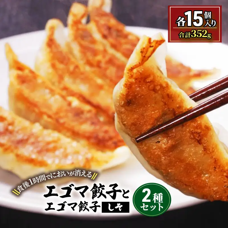 エゴマ餃子とエゴマ餃子（しそ）2種セット（各15個入）　　【無臭・肉汁・ジューシー・もちもち・手作り】