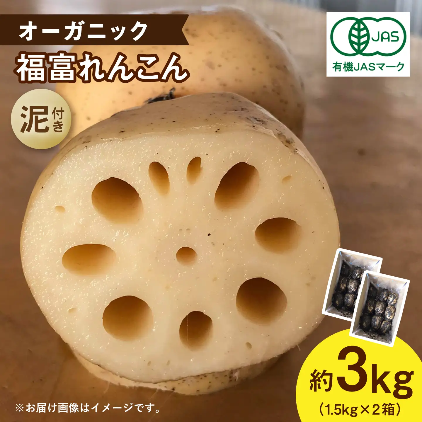 【泥付き】【2026年9月〜発送】節切り 福富れんこん 約3kg（1.5kg×2箱） / れんこん [IBC004]