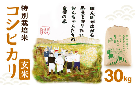 【先行予約】【令和7年産・新米】コシヒカリ（玄米）特別栽培米 30kg（30kg×1袋）【2025年9月中旬以降順次発送予定】【福井県産 お米 ブランド米 玄米 精米 ご飯 おにぎり お弁当 和食】[m26-e001]