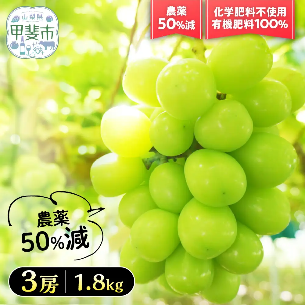 『特別栽培』自然塾夏 シャインマスカット 1.8㎏ 山梨シャインマスカット