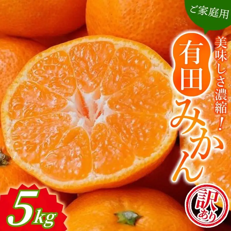 【訳あり】有田みかん 約5kg サイズ混合 みかん【nuk161E】 
