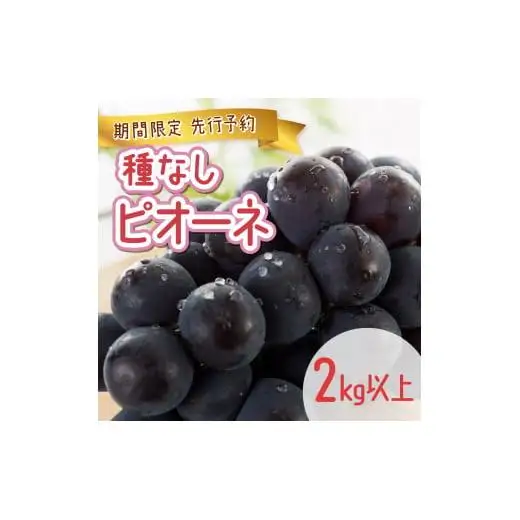 【期間限定】鏡野町産 ピオーネ 2kg（3～4房）
