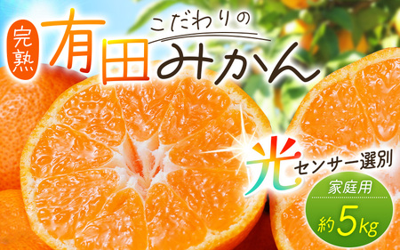 【2026年11月発送】＼光センサー選別／農家直送 【家庭用】こだわりの有田みかん　約5kg＋150g(傷み補償分) みかん ミカン 有田みかん 温州みかん 柑橘 有田 和歌山 ※北海道・沖縄・離島配送不可/みかん ミカン 有田みかん 温州みかん 柑橘 有田 和歌山 産地直送【nuk160-11C】