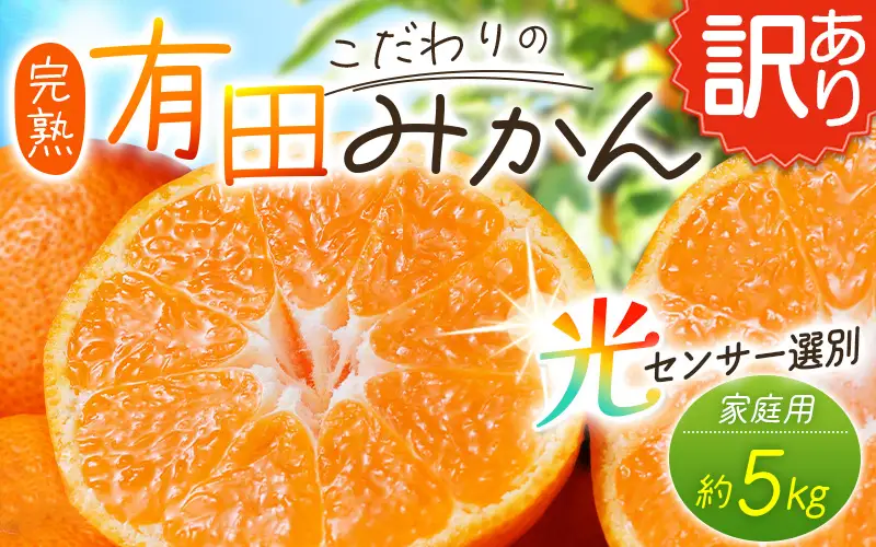 【訳あり】農家直送 有田みかん 約5kg ご家庭用 サイズ混合 ※2026年11月～2027年1月より順次発送予定（お届け日指定不可）※北海道・沖縄・離島への配送不可 訳ありみかん みかん ミカン 蜜柑 柑橘 フルーツ 果物 くだもの 温州みかんサイズ混合 訳ありみかん 温州みかん 有機質肥料100% ふるさと納税 柑橘 有田 産地直送【nuk161E】