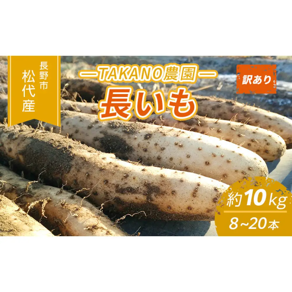 高野農園　長野市松代産 TAKANO農園　長いも 約10kg（訳あり）【8～20本】長芋　ながいも |長芋
